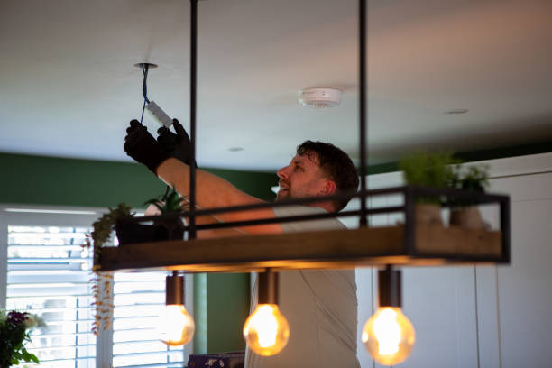 Best Electrical System Inspection  in Durand, MI