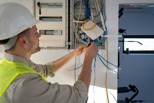 Best Affordable Electrician  in Durand, MI