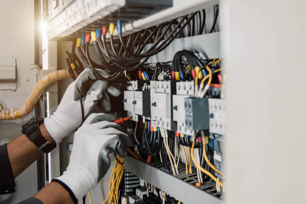 Best Residential Electrician Services  in Durand, MI